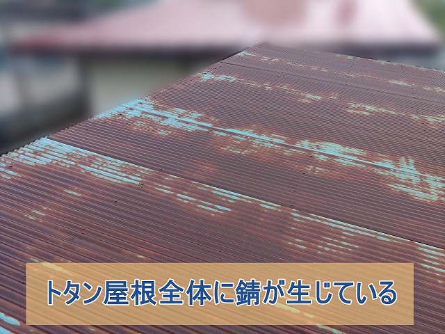 トタン屋根全体に錆が生じている様子